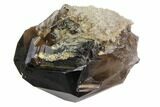 Dark Smoky Quartz Crystal - Brazil #84816-1